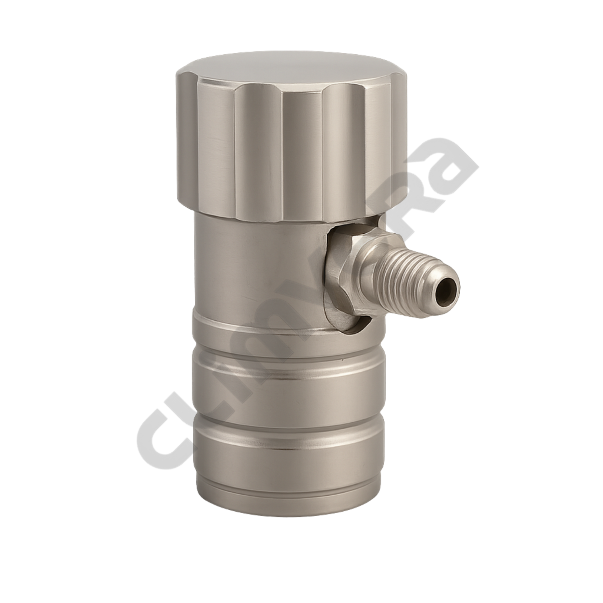 Hongsen HS-ML-R744 – R744 İçin Alçak Basınç Araç Klima Şarj Vanası